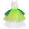 Costume de fée - robe verte - avec ailes