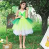 Feenkostüm - grünes Kleid - mit Flügeln