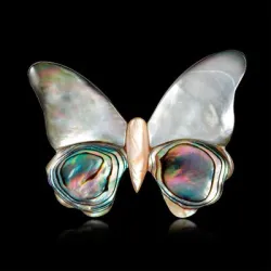 Papillon coquillage - broche élégante