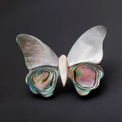 Papillon coquillage - broche élégante