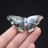 Motyl z muszli perłowej - broszkaBroszki