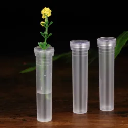 Tubi in plastica trasparente - mini portafiori - contenitore acqua - 50 pezzi
