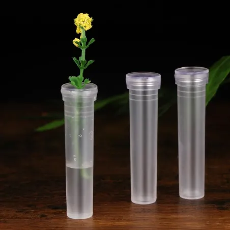 Gjennomsiktige plastrør - mini blomsterholder - vannbeholder - 50 stk