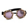 Steampunk / vintage runde briller - aftagelige linser / metalnet