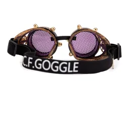 Steampunk / vintage runde briller - aftagelige linser / metalnet