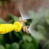 Spruzzatore da giardino in ottone - ugello - adattatore