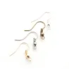 Crochets d'oreilles en métal - 20 * 22mm - 200 pièces