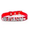Collares & CorreasCollar para perros/gatos - con nombre de cristal y charm - personalizado