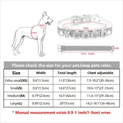 Coleira para cães/gatos - com cristal nome e charm - personalizada