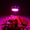 Lampe de culture pour plantes - LED - Lampe OVNI - spectre complet - hydroponique - 150W