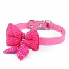 Läderkrage med stickad bowknot - för hundar/katter