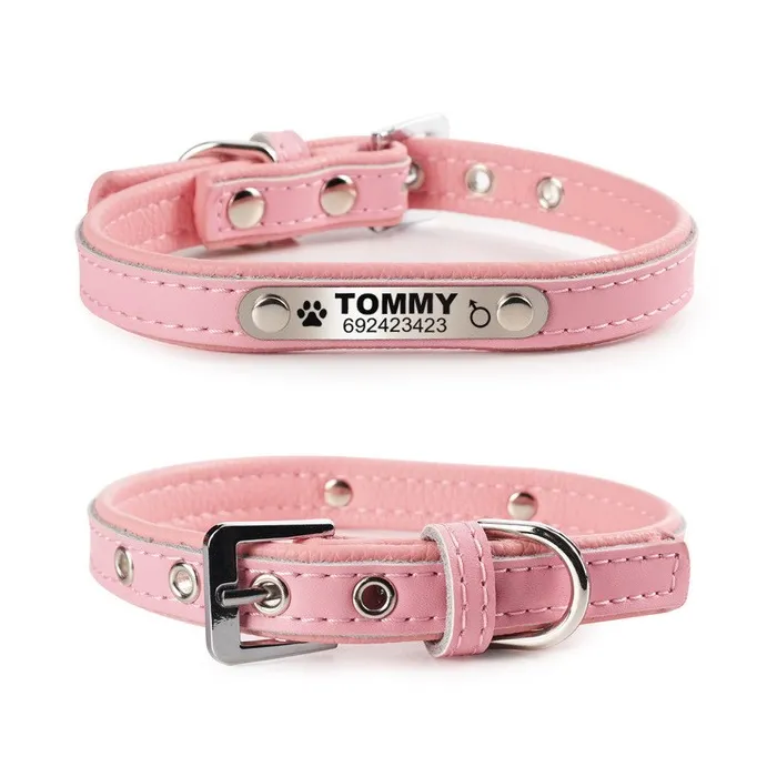 Hunde-/Katzenhalsband – ID-Tag – personalisiert – graviert – Leder