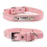 Hunde-/Katzenhalsband – ID-Tag – personalisiert – graviert – Leder