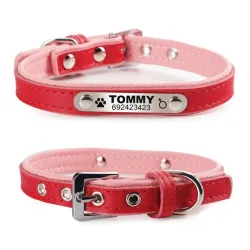 Hunde-/Katzenhalsband – ID-Tag – personalisiert – graviert – Leder