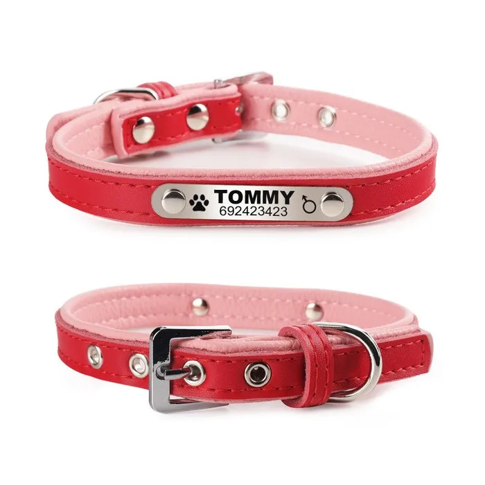 Hunde-/Katzenhalsband – ID-Tag – personalisiert – graviert – Leder