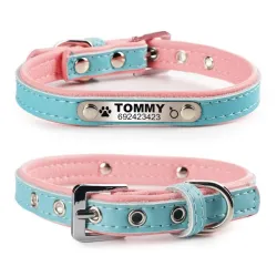Hunde-/Katzenhalsband – ID-Tag – personalisiert – graviert – Leder