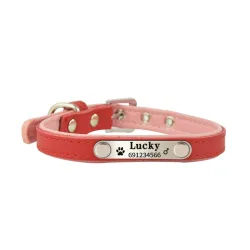 Hunde-/Katzenhalsband – ID-Tag – personalisiert – graviert – Leder
