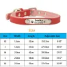 Collare per cani/gatti - ID Tag - personalizzato - inciso - in pelle