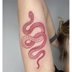 Väliaikainen tatuointi - tarra - punainen käärme