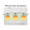 RGB LED flomlys - utendørs reflektor - fjernkontroll - vanntett - 220V / 110V - 20W - 30W - 50W - 100W