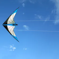 Cerf-volant en forme de triangle - avec double ligne / poignée