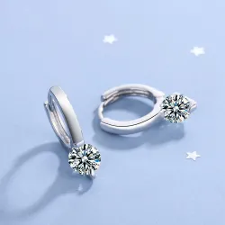 Small round earrings with white crystalsEarrings