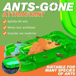 Przynęta przeciw mrówkom - proszek zabijającyOwady