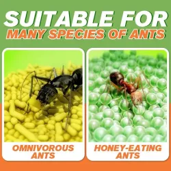 Anti ants bait - killing powderInsect control