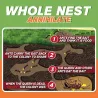 Anti ants bait - tappava jauhe