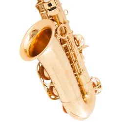 Profesjonell saksofon - key-Eb Alto - med etui / tilbehør