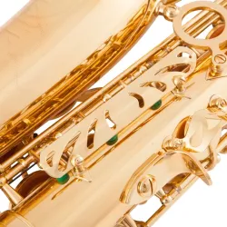 Professional saxophone - key-Eb Alto - with case / accessoriesSaxophones