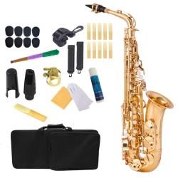 Saxofone profissional - chave-Mib Alto - com estojo / acessórios