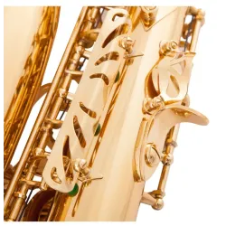 Profesjonell saksofon - key-Eb Alto - med etui / tilbehør