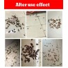 Control de insectosEficaz exterminador de cucarachas - cebo en polvo - insecticida - control de plagas - 10 piezas