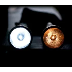 E10 - Ampoule lampe de poche LED