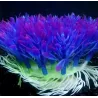 Künstliche Kunststoffpflanze - lila Blume - Aquariumdekoration