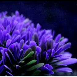 Planta artificial de plástico - flor roxa - decoração de aquário