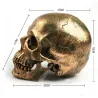 Human skull made from resin craft - bronzeStatues & Sculptures