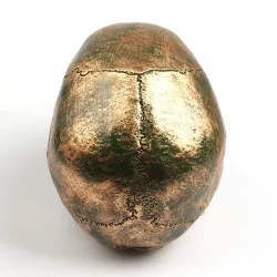 Crâne humain fabriqué à partir de résine artisanale - bronze