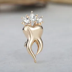 BrochesDiente con corona de cristal - broche