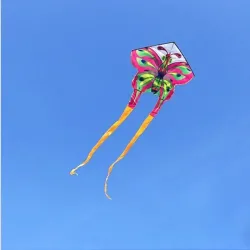 Suuri perhokärpänleija - 150 cm