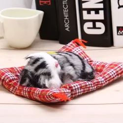Peluche chat endormi avec son