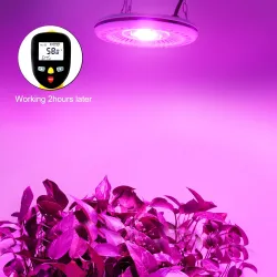 100W COB LED-vekstlys - fullt spekter -hydroponisk - vanntett IP67