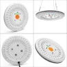 100W COB LED vækstlys - fuld spektrum - hydroponisk - vandtæt IP67