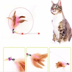 Kitten Pet Teaser Feather Wire Toy