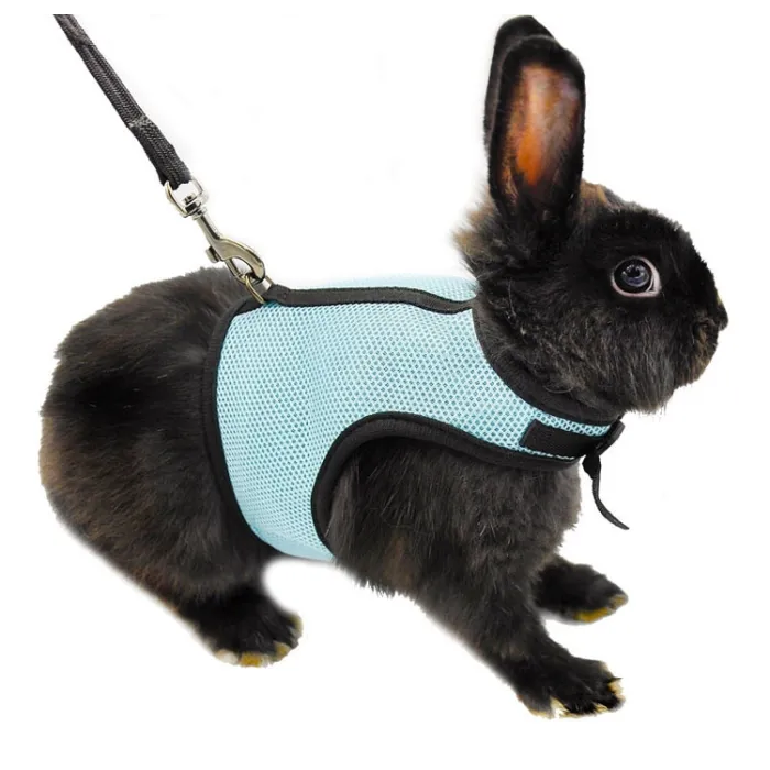 Hamster Rabbit Harness & Leash Set Näytä tarkat tiedot