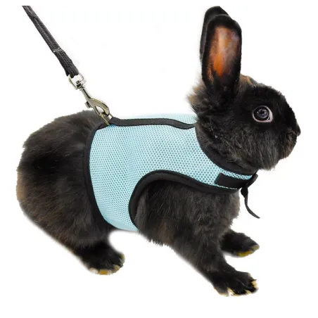 Hamster Rabbit Harness & Leash Set Näytä tarkat tiedot