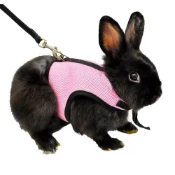 Hamster Rabbit Harness & Leash Set Näytä tarkat tiedot