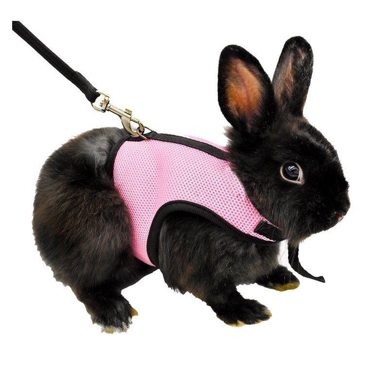 Hamster Rabbit Harness & Leash SetDieren & huisdieren