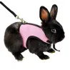 Hamster Rabbit Harness & Leash Set Näytä tarkat tiedot